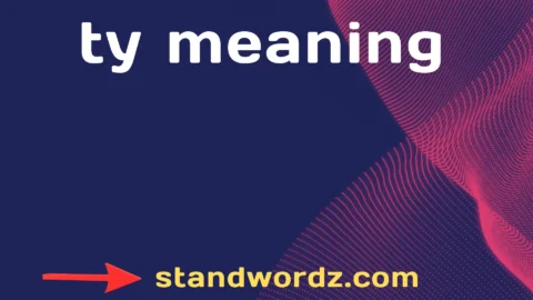 ty meaning