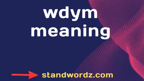 wdym meaning