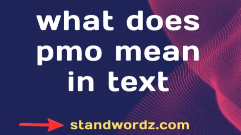 what does pmo mean in text