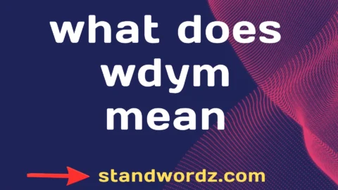 what does wdym mean
