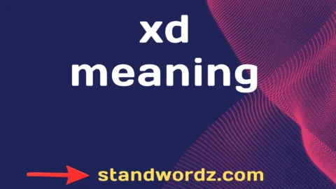 xd meaning