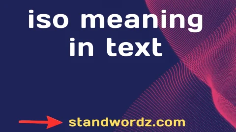 iso meaning in text