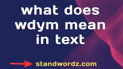 what does wdym mean in text
