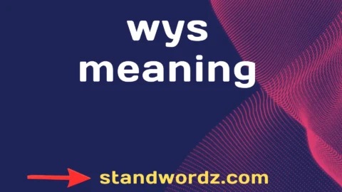 wys meaning