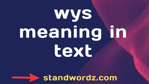 wys meaning in text